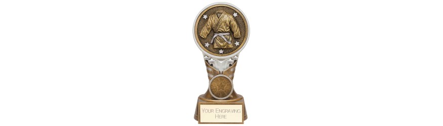 IKON MARTIAL ARTS TROPHY - 4 SIZES - 15CM - 22.5CM IKON MARTIAL ARTS TROPHY - 4 SIZES - 15CM - 22.5CM